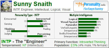 Sunny Snaith, INTP, Engineer, Intellectual, Logical, Visual